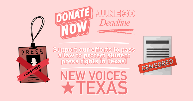 New Voices Texas needs your financial&nbsp;support!
